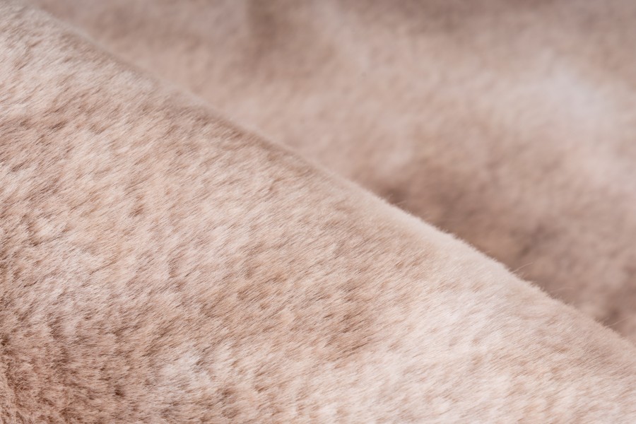 BOLERO - BOL 500 Beige, 160x230 – Image 3