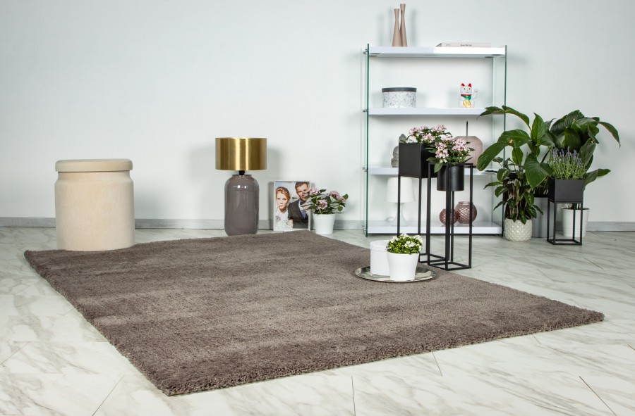 DREAM - DRE 500 Taupe, 200x290 – Image 2