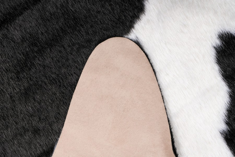 RODEO - 150x200, ROD 202 Cow – Image 4